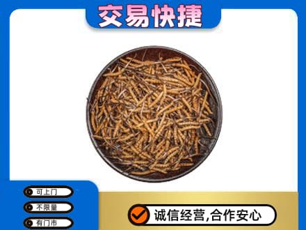 本溪礼品回收虫草.jpg